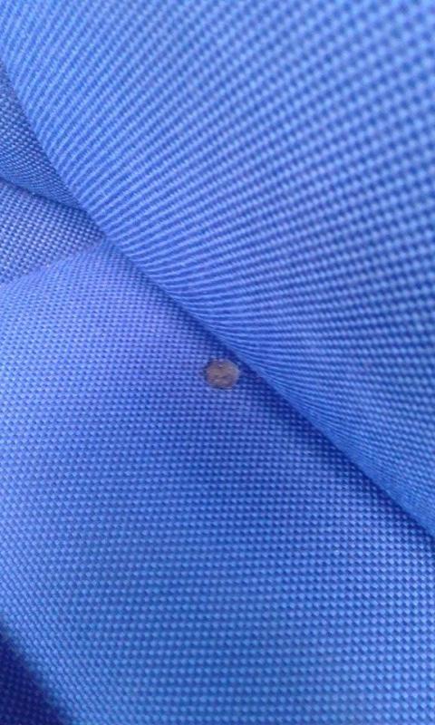 sedile ripristinato 2