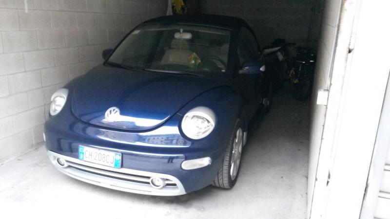 SEMPRE BEETLE ANCHE QUANDO NEVICA