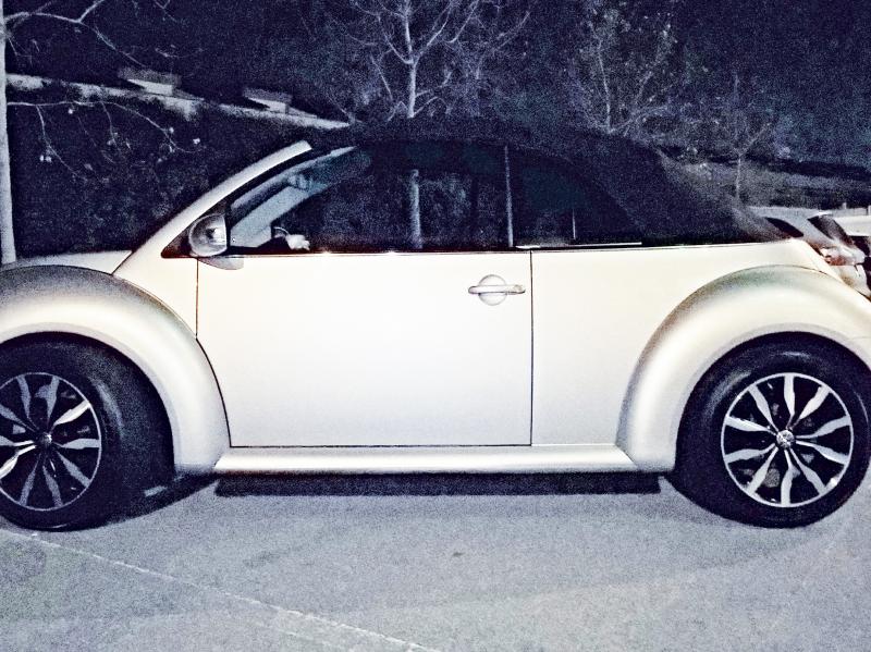 sempre piu bella la mia niu