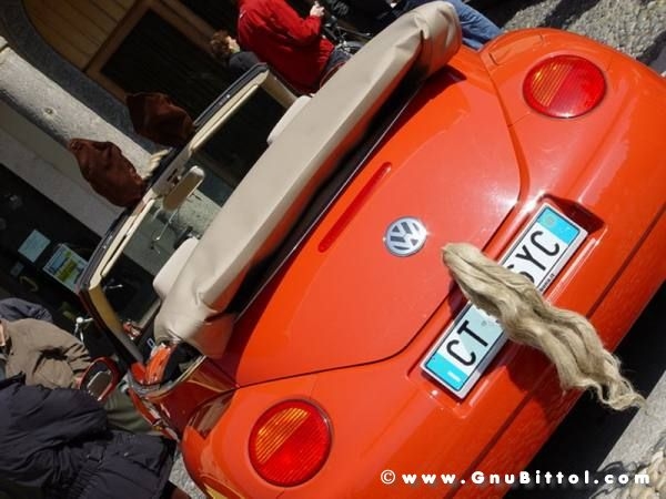 SprinGnuBittol 2009 - GnuConcorso Fotografico