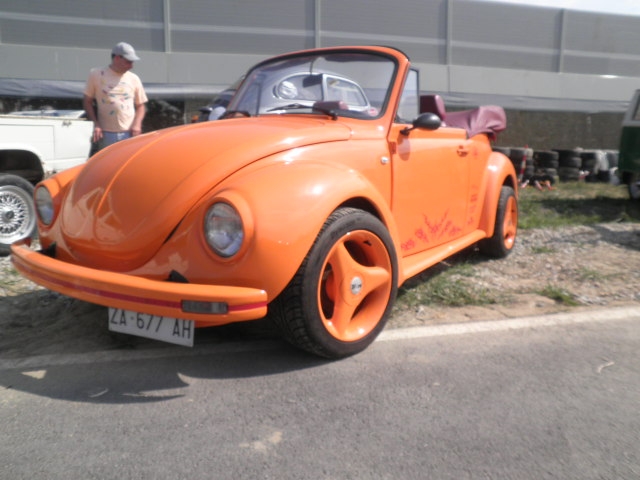 Top VW Show a San Martino del Lago (CR)