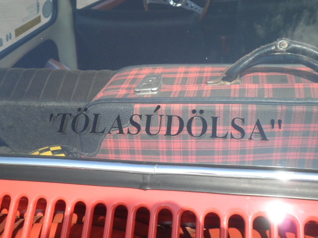 Top VW Show a San Martino del Lago (CR)