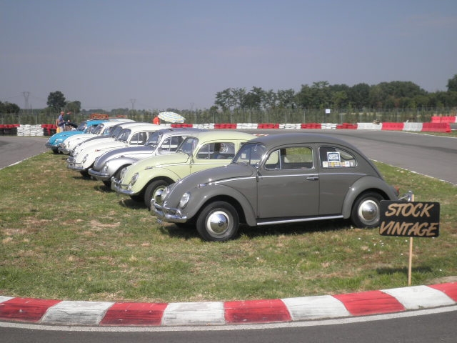 Top VW Show a San Martino del Lago (CR)