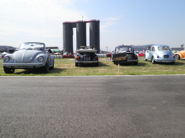 Top VW Show a San Martino del Lago (CR)