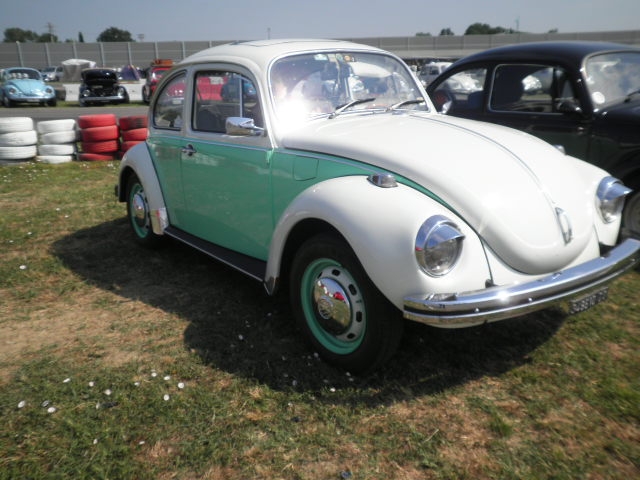 Top VW Show a San Martino del Lago (CR)