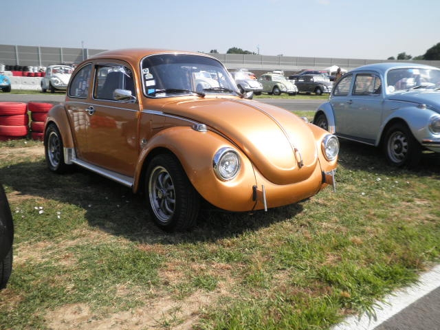 Top VW Show a San Martino del Lago (CR)