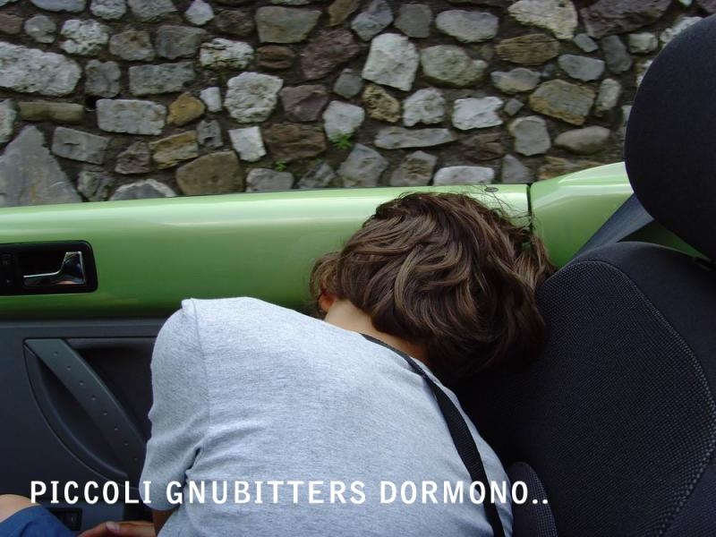 VAL SERIANA - RADUNO 2013