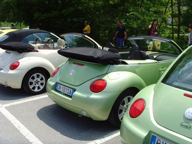 VAL SERIANA - RADUNO 2013