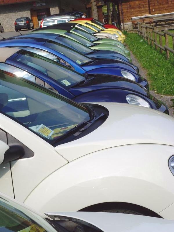 VAL SERIANA - RADUNO 2013