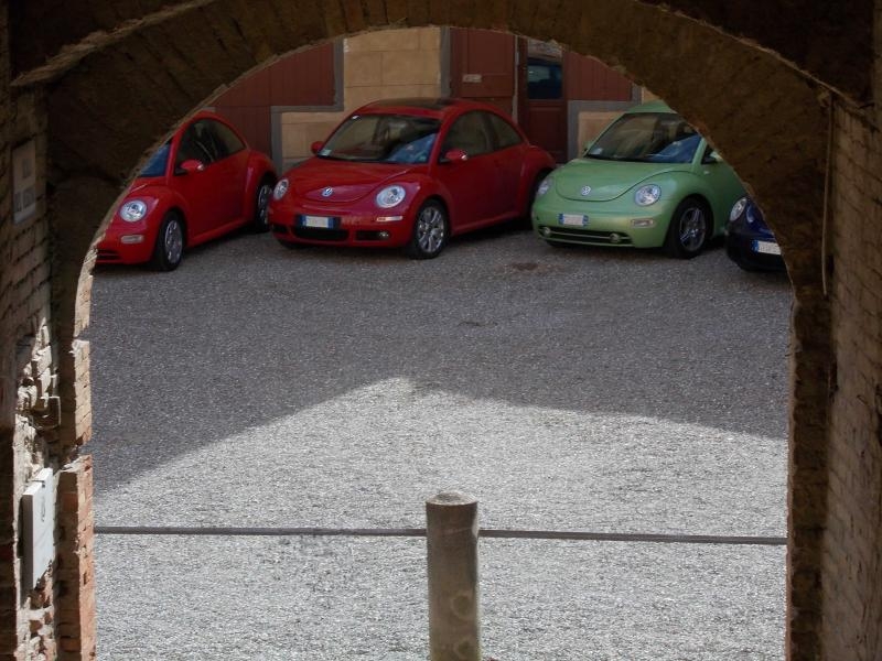 xxv meeting alta toscana