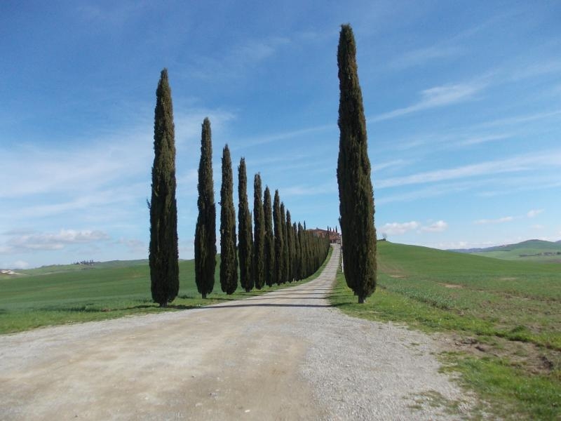 xxv meeting alta toscana