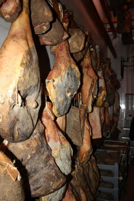 XXV raduno nazionale 6-7 aprile 2013 San Miniato e Montecatini Terme