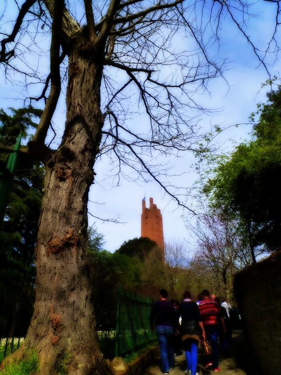 XXV raduno- Toscana 2013