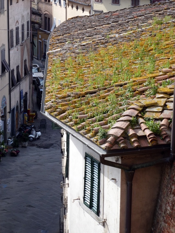 XXV raduno- Toscana 2013