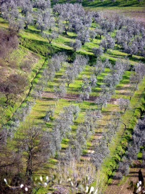 XXV raduno- Toscana 2013